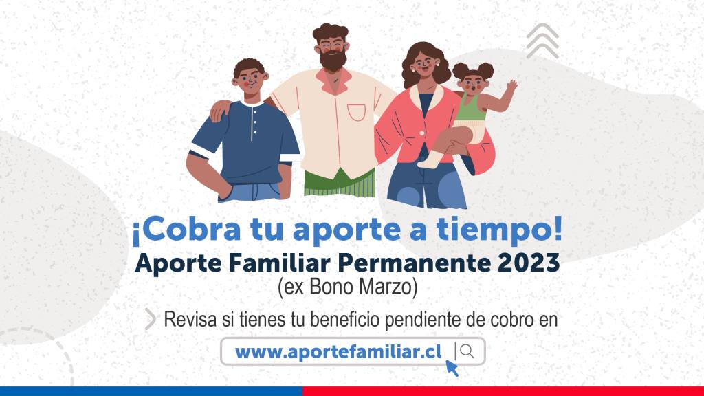 Aporte Familiar Permanente 2023, IPS