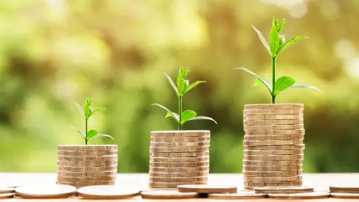 dinero, ganancia, finanzas - Pixabay