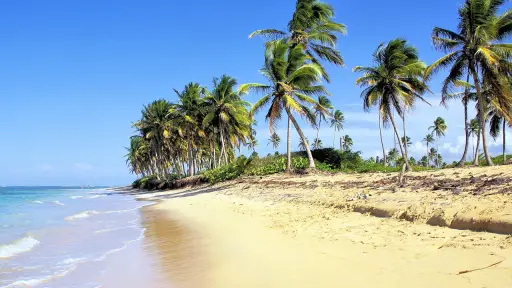 república dominicana, playa, bávaro - Pixabay